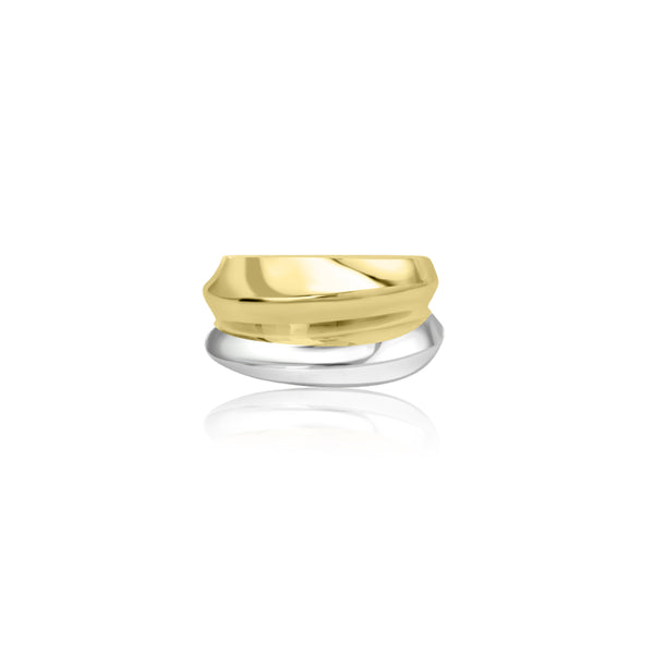 18K T-Tone Taylor Double Dome Ring