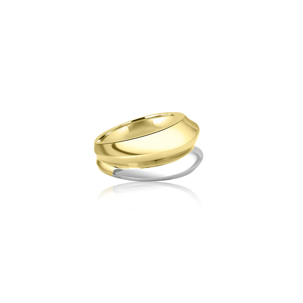 18K T-Tone Taylor Double Dome Ring