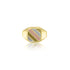 18K Tri-Color Men's Signet Ring