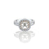 14k Two Tone Round Double Halo Engagement Ring
