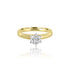 14k Yellow Gold Six Prong Isabella Solitaire Engagement Ring