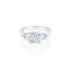 18k White Gold Trillian Accent Princess Engagement Ring