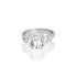 18k White Gold Emerald Center Trill Engagement Ring