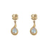 18k Yellow Gold Drop Cubic Nayeli Earrings