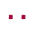 10k Yellow Gold Square Red Stone Madisyn Earrings