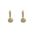 18k Yellow Gold Round Bezel Lever Jayden Earrings