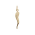 Yellow Gold Horn (pepper) Italy Charm Pendant